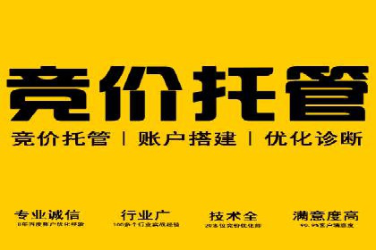 解析SEM竞价代运营公司的效果：ROI大幅提升的秘诀